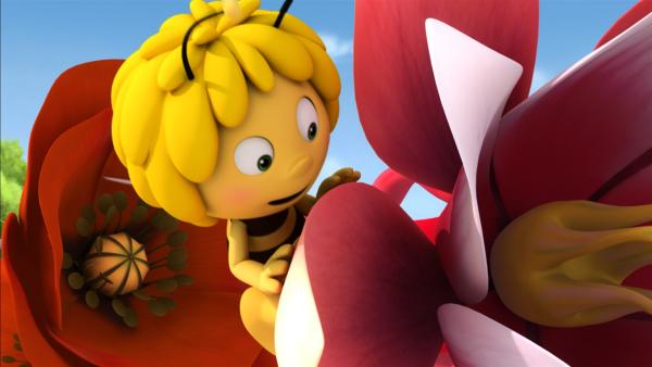 Maja ist die erste Biene die eine Blume angepflanzt hat. | Rechte: ZDF/Studio100 Animation