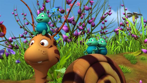 Die Blattläuse fürchten sich überhaupt nicht vor dem getigerten Rufus. | Rechte: ZDF/Studio100 Animation