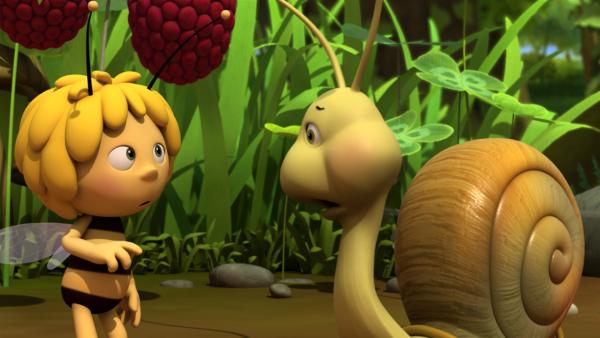 Was könnte eine gute Tarnung für eine Schnecke sein? | Rechte: ZDF/Studio100 Animation