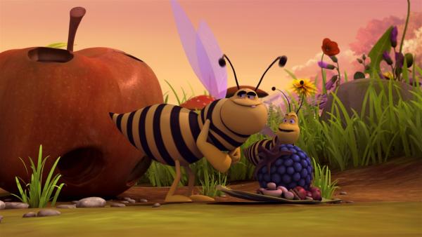 Auch die Wespen mögen das Wiesentheater - vorallem aber das Picknick. | Rechte: ZDF/Studio100 Animation