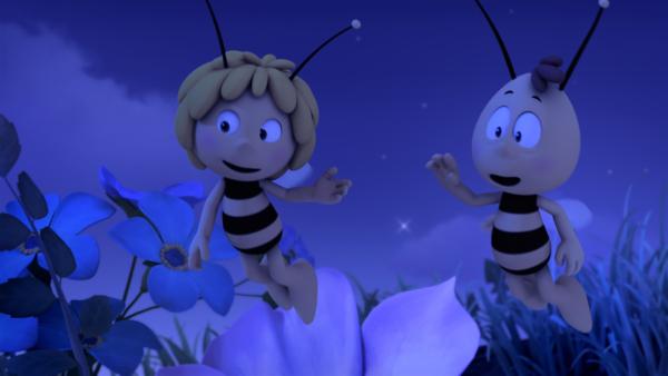 Ein Flug durch die Nacht ist für Maja ein Erlebnis. | Rechte: ZDF/Studio100 Animation