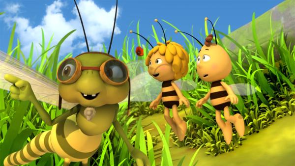 Die Libelle Otto bringt Maja und Willi das Rückwärtsfliegen bei. | Rechte: ZDF/Studio100 Animation