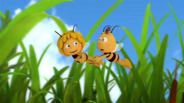 Maja und Willi üben den Libellenflatterflitzeflug. | Rechte: ZDF/Studio100 Animation