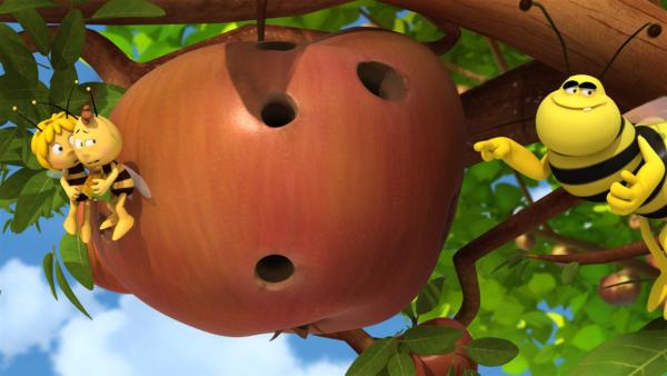 Die Wespen können Äpfel nicht von Birnen unterscheiden. | Rechte: ZDF/Studio100 Animation