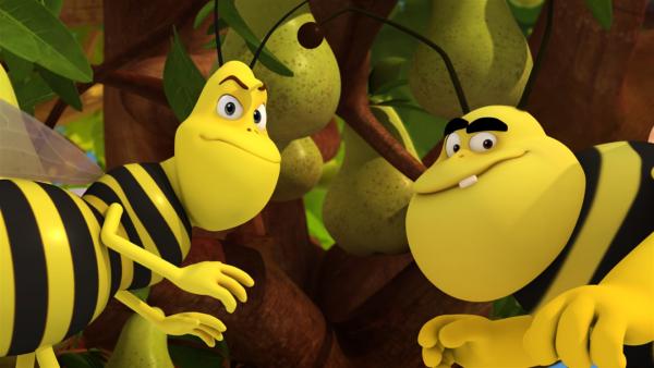 Die einfältigen Wespen glauben, dass Birnensaft Zauberkraft gibt. | Rechte: ZDF/Studio100 Animation