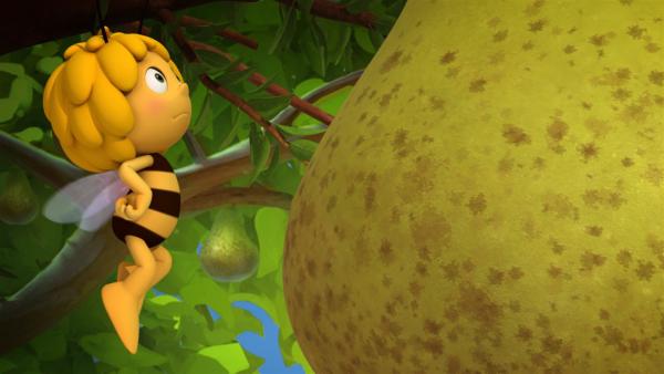 Wie kommt Maja an den Saft der Birnen? | Rechte: ZDF/Studio100 Animation