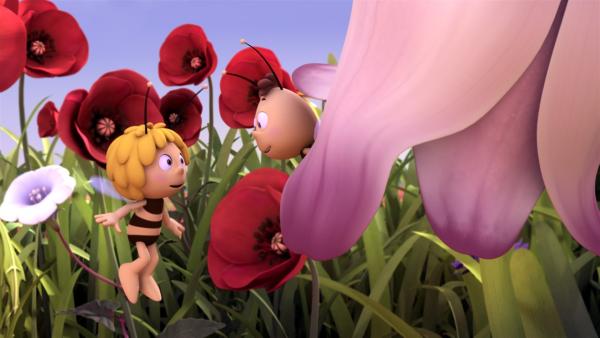 Kuschlig und voller Pollen - die perfekte Blume für Willi. | Rechte: ZDF/Studio100 Animation
