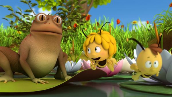 Der alte Frosch ist zu hungrig um die Bienchen zu jagen. | Rechte: ZDF/Studio100 Animation