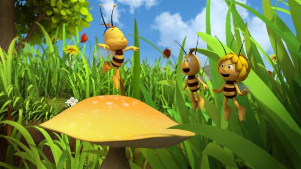 Das Bienchen Siggi bringt alle zum Lachen. | Rechte: ZDF/Studio100 Animation