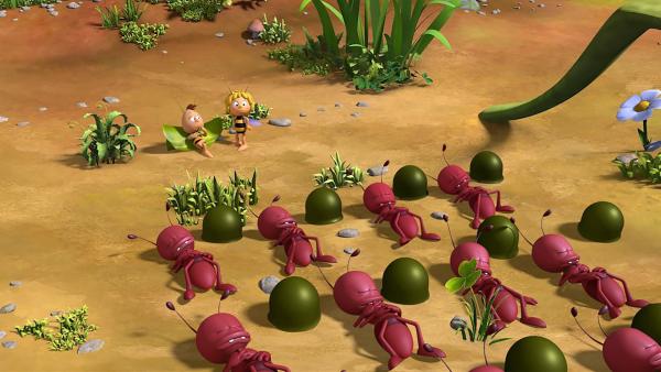 Die Ameisen lernen Nickerchen machen. | Rechte: ZDF/2017/Studio 100 Animation