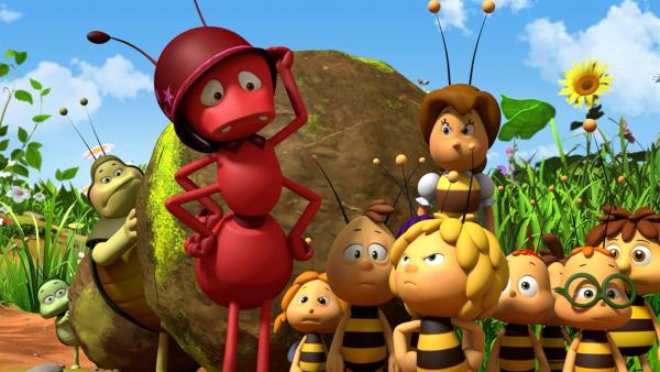 Die roten Ameisen verbieten alles. | Rechte: ZDF/2017/Studio 100 Animation