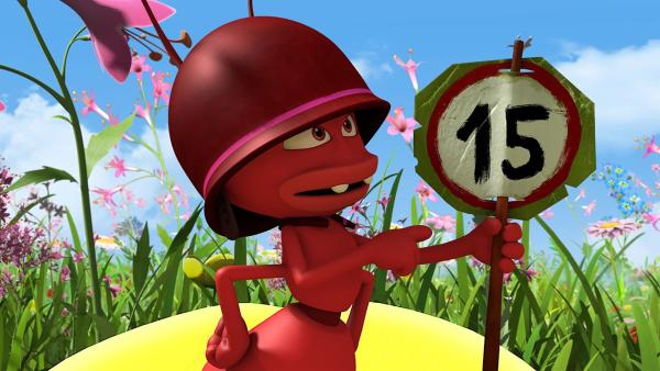 Die roten Ameisen stellen Schilder auf. | Rechte: ZDF/2017/Studio 100 Animation