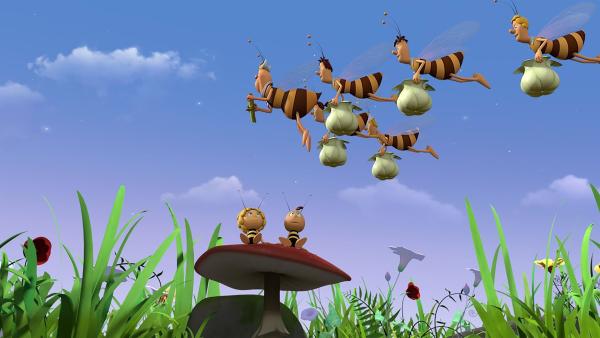 Die Bienen fliegen sehr diszipliniert. | Rechte: ZDF/2017/Studio 100 Animation