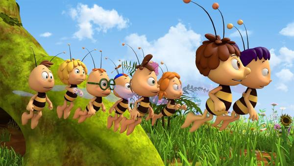Anstatt ihr Diplom zu schreiben, machen die Bienen einen Wiesenausflug. | Rechte: ZDF/2017/Studio 100 Animation