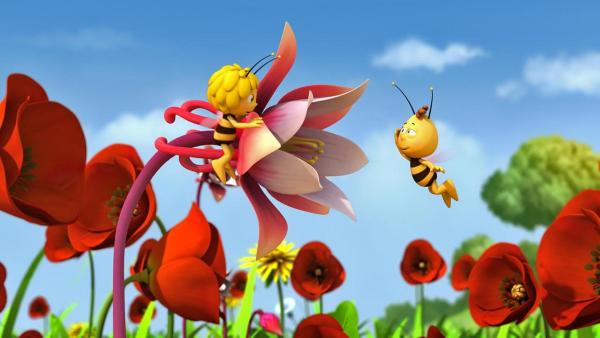 Maja und Willi fliegen in einem roten Blumenfeld. | Rechte: Nach Waldemar Bonsels “Die Biene Maja”. © 2012 Studio 100 Animation 