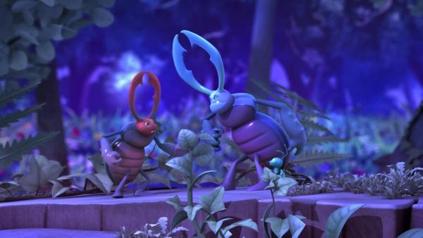 Zwei Käfer kämpfen in der Nacht gegeneinander. | Rechte: Nach Waldemar Bonsels “Die Biene Maja”. © 2012 Studio 100 Animation 