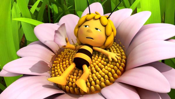 Maja liegt erschöpft und mit ausgestreckten Armen auf einer Blume. Dabei fächelt sie sich mit einer Blüte Luft zu. | Rechte: Nach Waldemar Bonsels “Die Biene Maja”. © 2012 Studio 100 Animation 