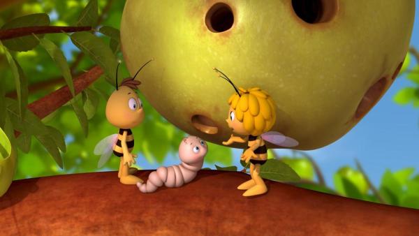 Willi (links), Maja (rechts) und die kleine Raupe Ferdinand (mitte) stehen auf einem Apfelbaumast. Im Hintergrund hängt ein Apfel mit Löchern. | Rechte: Nach Waldemar Bonsels “Die Biene Maja”. © 2012 Studio 100 Animation 