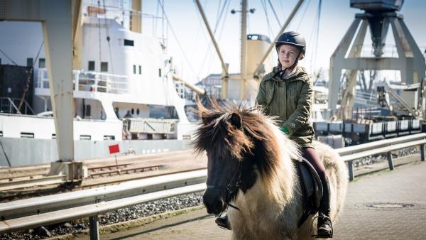 Befreit! Pinja (Sina Michel) reitet durch den Hamburger Hafen in die Freiheit. | Rechte: NDR/Boris Laewen
