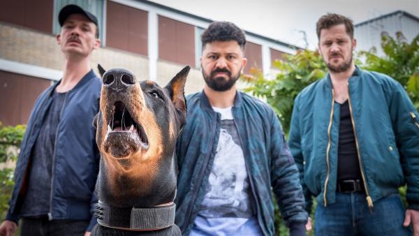 Die Kampfhundebesitzer mit ihrem Schützling Bobo. | Rechte: NDR/Boris Laewen