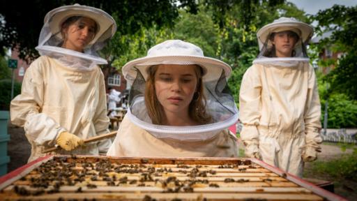 Pippa sieht sich den Bienenstock genauer an.

