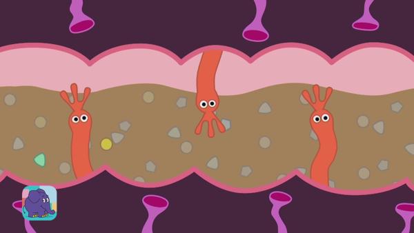 Ausschnitt von einem animierten Darm, in dem gerade aus dem Essensbrei wertvolle Stoffe herausgefiltert werden. | Rechte: WDR