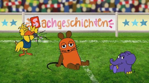 Maus sitzt auf einem Fußballfeld