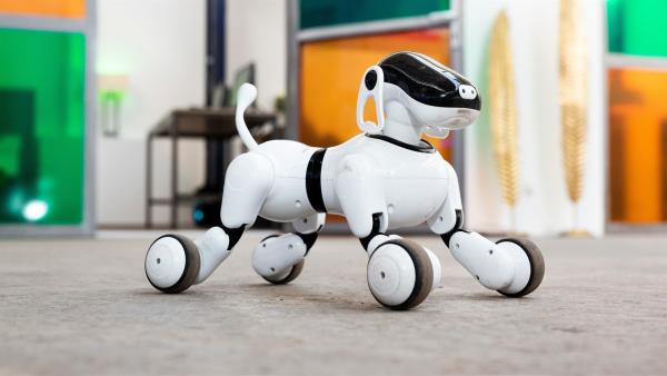 Robo-Hund Digi begleitet das Team Digital während der zweiten Staffel von Digiclash. | Rechte: ZDF/Katja Inderka