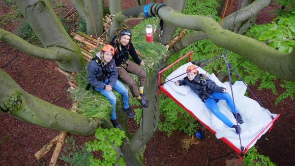 Laura, Tommy und Leopold auf den Schlafplätzen im Baum | Rechte: ZDF