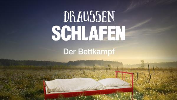 Draußen schlafen - Der Bettkampf auf zdftivi.de | Rechte: ZDF
