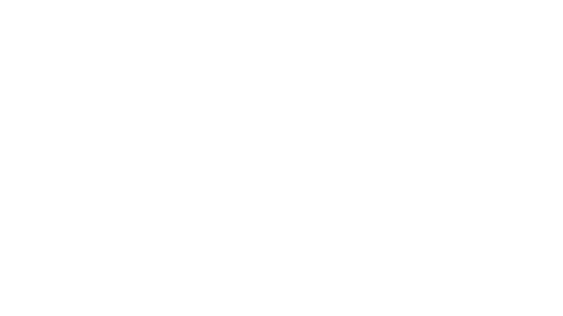 Logo-Schriftzug "Dunking Girls"