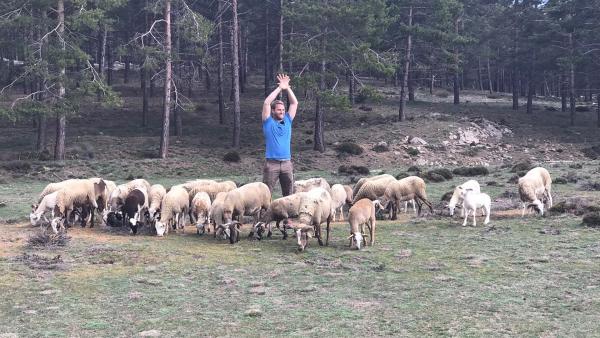 Coach Tobi stellt jeden Tag neue Herausforderungen. Heute müssen Schafe getrieben werden. | Rechte: hr/E+U TV Film- und Fernsehproduktion