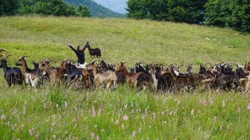 Durch die Wildnis Slowenien