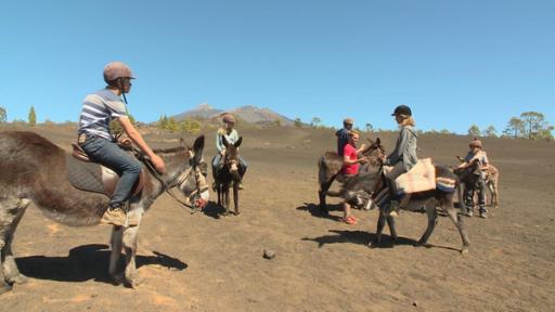 Die Abenteurer reiten auf Eseln