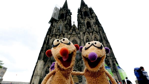 Jan & Henry machen einen Ausflug nach Köln. | Rechte: NDR/bigSmile