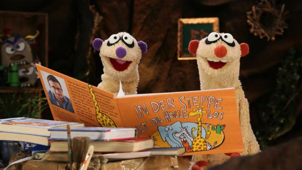 Die Erdmännchen Jan und Henry lesen gemeinsam ein Buch.