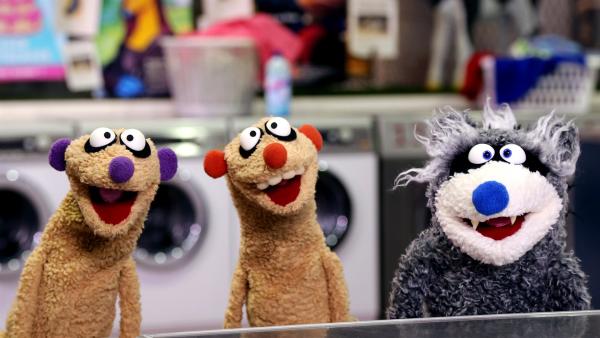 Jan & Henry treffen im Waschsalon einen Waschbär. | Rechte: NDR/ bigSmile 