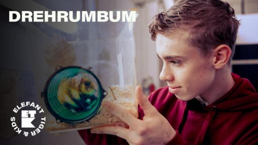 Drehrumbum