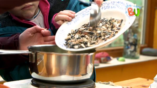 Die Vogelfutter-Mischung wird in den Topf hinzufügen. 