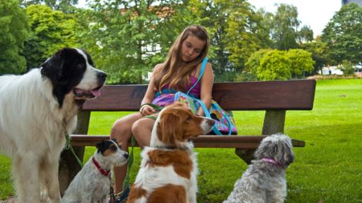 7. Handyschulden | Rechte: NDR/Southern Star Ally mit vielen Hunden im Park