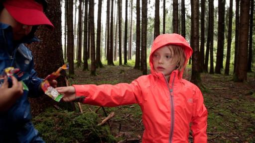 Die Murmeluchse haben für die Kinder Süßigkeiten im Wald versteckt.