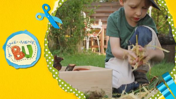 Emil packt in einen Holzkasten Stroh. Das ist super geeignet für sein Insektenhaus.