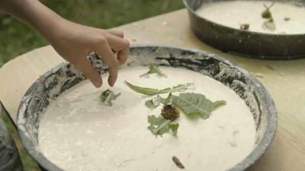 Selbstgemachter Mehlkleister wird in einer Kuchenform mit Naturmaterialien wie Löwenzahnblättern dekoriert. Fertig ist ein Blumenkuchen. | Rechte: KiKA