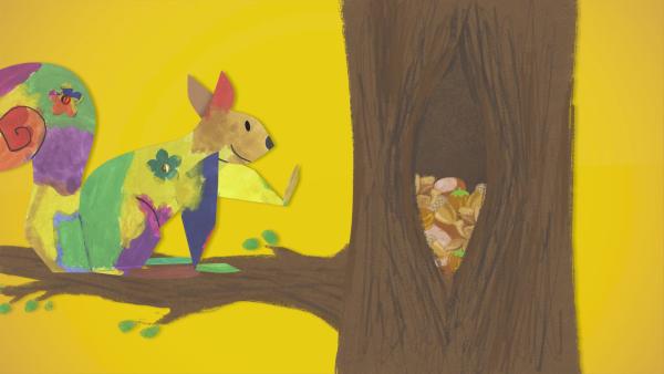 Ein buntes Steckeichhörnchen legt sich einen Vorrat an Nüssen und Eicheln für den Winter an. Die Nahrung sammelt es in einem Spalt in einem Baum. | Rechte: KiKA