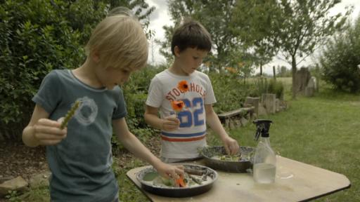 Janko und Kolja verzieren ihre Blumenkuchen.