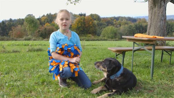Ein blondes Mädchen mit blauer Kleidung hockt auf der Wiese neben ihrem schwarzen Hund und erzählt.