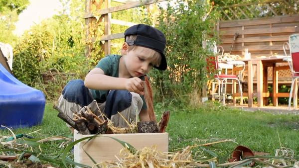 Ein Junge sitzt in einem Garten und sammelt Holz in einer Schale. | Rechte: KiKA/MotionWorks GmbH
