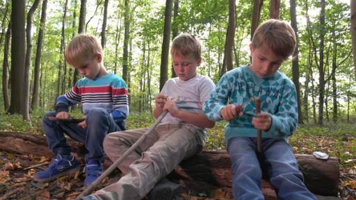 Drei Jungen sitzen auf einem Baumstamm im Wald. Sie halten Stöcke in der Hand und schnitzen. 