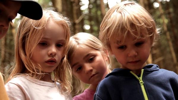 Vier Kinder in Jacken und T-Shirts stehen in einem Wald. Sie schauen gespannt auf dem Boden.