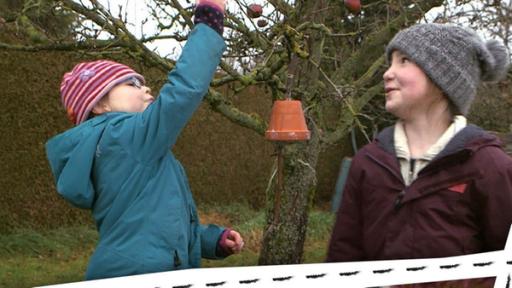 Zwei Kinder zeigen ihr Bild. Andere  hängen eine Futterglocke auf. Ein Tannenbaum ist geschmückt.